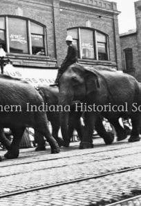 Ringling Bros Circus parade (elephants on Mich St) 1911 ph764